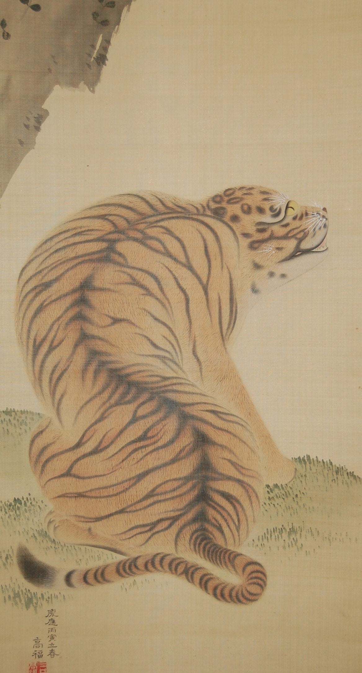 Hanging scroll painting, sitting tiger near rock, by Mitsui Takayoshi, antique, Japan