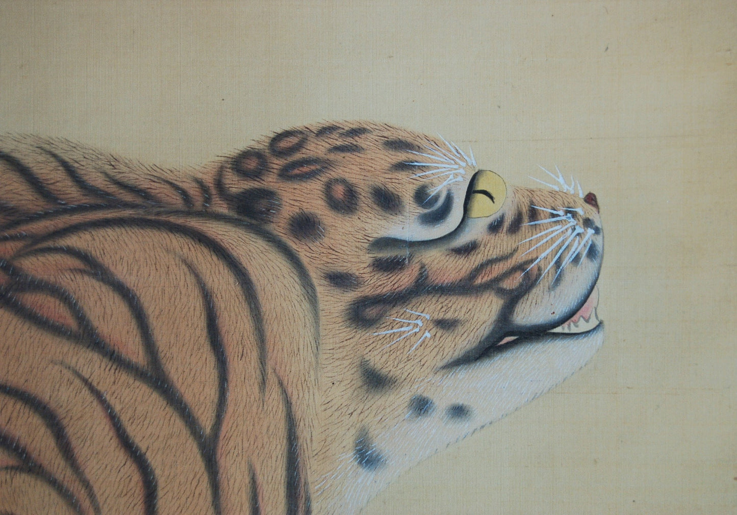 Hanging scroll painting, sitting tiger near rock, by Mitsui Takayoshi, antique, Japan