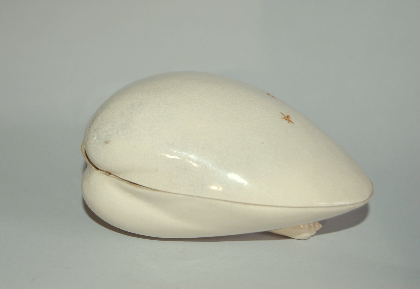 Box in shape of clam shell, by Gyokumeizan, Satsuma ceramic ware, antique, Japan